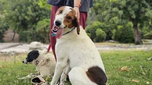 "Μπράιαν, χαμογέλα να βγεις ωραίος" και... κάθεται "κλαρίνο"