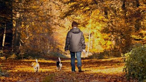 Θέλετε ισχυρότερο ανοσοποιητικό και καλύτερη ψυχική υγεία; Βγείτε μια βόλτα στο πάρκο