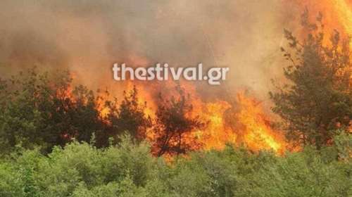 Φωτιά σε δασική έκταση στη Βόλβη - Μήνυμα 112 στους κατοίκους να είναι σε ετοιμότητα [εικόνες]