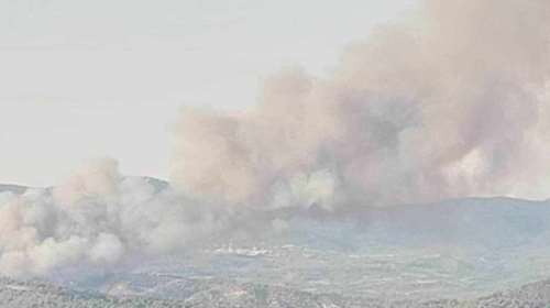 Φωτιά και στη Ρόδο: Καίγεται δασική έκταση - "Εχθρός" οι ισχυροί άνεμοι