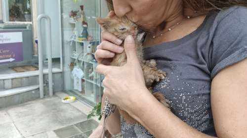 Ατακτος μικρούλης έπεσε από μηχανή εν κινήσει αυτοκινήτου και βούτηξε σε φρεάτιο