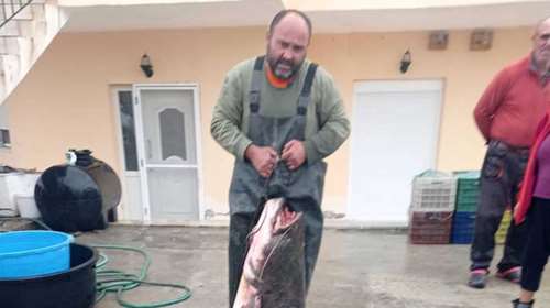 Ενας ψαράς από την Κοζάνη έβγαλε ψάρι... 92 κιλών από τη λίμνη [εικόνα]