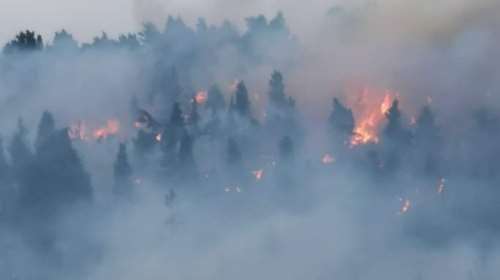Χαλκιδική: Μάχη με τις φλόγες στην Κασσάνδρα - Ενισχύονται οι δυνάμεις της πυροσβεστικής [εικόνες]