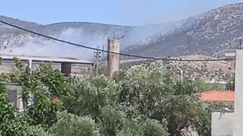 Φωτιά στον Ασπρόπυργο: Επ΄ αυτοφώρω σύλληψη για πρόκληση πυρκαγιάς από αμέλεια - Έκαιγε ξερόχορτα