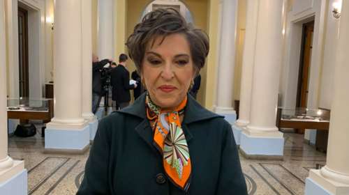 Μάνδρου για αστυνομικούς σε τηλεοπτικά πάνελ: Βγαίνουν για να πολιτευτούν ή για τον εαυτό τους - Δεν προσφέρουν τίποτα