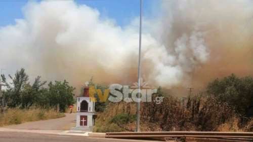 Φωτιά στη Φωκίδα: Καίγεται ο Ελαιώνας Άμφισσας - Στη μάχη 5 αεροσκάφη, 14 οχήματα και 47 πυροσβέστες