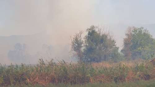 Φωτιά στο Κιλκίς: Μαίνεται πυρκαγιά στις Μουριές - Στη μάχη και αγρότες με τα τρακτέρ τους [εικόνες-βίντεο]