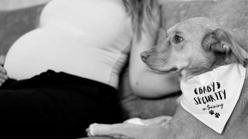 Άννα Κορακάκη: Εγκυος στο πρώτο της παιδί -  "Η οικογένειά μας μεγαλώνει…δυο ποδαράκια, τέσσερις πατούσες..."