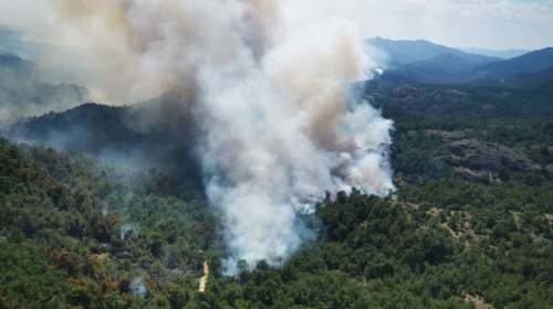 Φωτιά στον Έβρο: Καίγεται για τρίτη ημέρα το δάσος της Δαδιάς - Πύρινη κόλαση από τις συνεχείς αναζωπυρώσεις