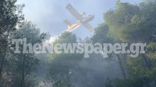 Στις φλόγες το Νότιο Πήλιο: Καίγεται δάσος στο Βρωμονέρι - Καναντέρ επιχειρούν να &quot;δαμάσουν&quot; τις φλόγες