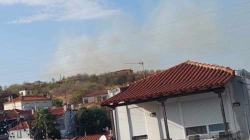 Φωτιά στο Σουφλί: Πυρκαγιά στον οικισμό Λαβάρων