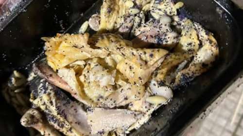 Νέα κτηνωδία με δηλητηρίαση δεκαέξι αδέσποτων γατιών: Εριξαν δηλητήριο στο φαγητό που είχε βάλει η φροντιστής τους