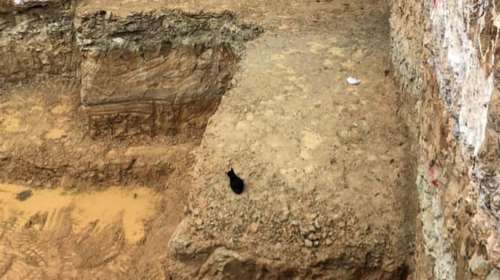 Π. Φάληρο: Γατούλα παγιδεύτηκε στα θεμέλια οικοδομής - Τέσσερις ημέρες βρισκόταν εγκλωβισμένη στα αναχώματα [Εικόνες]