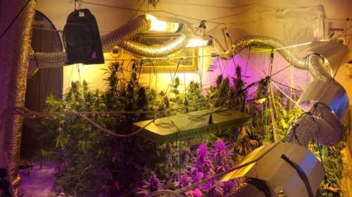 Εξαρθρώθηκε κύκλωμα ναρκωτικών  - "Χρυσές δουλειές" σε Μύκονο και Αττική [Εικόνες-Βίντεο]