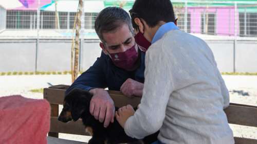 Έτοιμο το πρώτο σύγχρονο καταφύγιο αδέσποτων ζώων του Δήμου της Αθήνας [εικόνες]