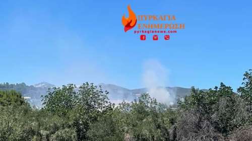 Ξέσπασε φωτιά στην Παλλήνη: Ισχυρή δύναμη της Πυροσβεστικής λόγω δυνατών ανέμων [Εικόνες]