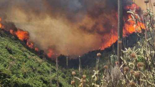 Ανεξέλεγκτες φωτιές στην Ηλεία: Μήνυμα 112 για να εκκενωθεί το Πηγάδι στον κάμπο - Μάχη να σωθούν σπίτια στον Άγναντα