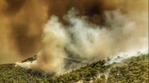 Φωτιά στην Αγιά Λάρισας - Στις φλόγες δασική έκταση, μεγάλη κινητοποίηση της Πυροσβεστικής