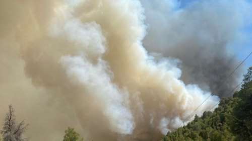 Πυρκαγιά στη Χαλκιδική: Ολονύχτια σκληρή μάχη με τις φλόγες για να σωθεί πευκοδάσος κοντά στη Βουρβουρού [βίντεο]