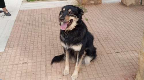 Μπένζαμιν: Μια αναπάντεχη συνάντηση γεμάτη ευτυχία