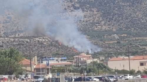 Φωτιά στη Λακωνία: Ισχυρές δυνάμεις της Πυροσβεστικής επιχειρούν στην περιοχή Πλύτρα