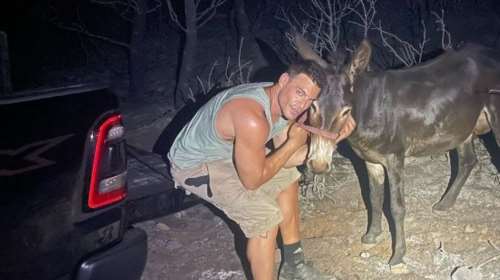 Δημήτρης Φιντιρίκος: Οι συγκινητικές εικόνες διάσωσης εγκαταλελειμμένων ζώων από τη φωτιά στη Μάνδρα