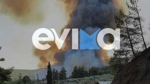 Εκτός ελέγχου η φωτιά στη Λίμνη Ευβοίας: Πλησιάζουν σπίτια οι πύρινες γλώσσες - Εκκενώνονται χωριά [βίντεο]