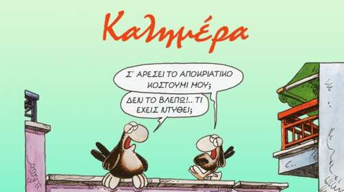 Αρκάς: Κυριακάτικη καλημέρα με τα δυο σπουργίτια να συζητούν για μεταμφιέσεις