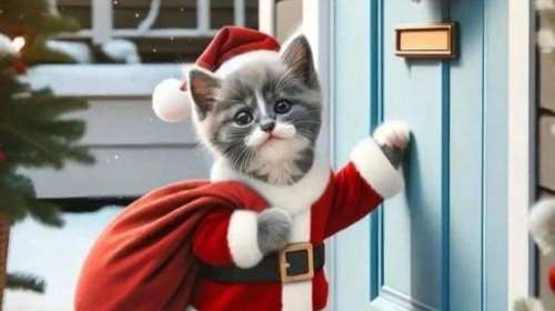 50ο Χριστουγιεννιάτικο Μπαζάρ της Ελληνικής Φιλοζωικής: Φυλάξτε τις ημερομηνίες