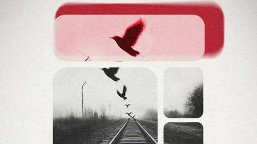 Τέμπη: Αντίστροφη μέτρηση για τη μεγάλη συναυλία στο Καλλιμάρμαρο - Γιγαντοοθόνες σε δεκάδες δήμους, πώς θα τη δείτε