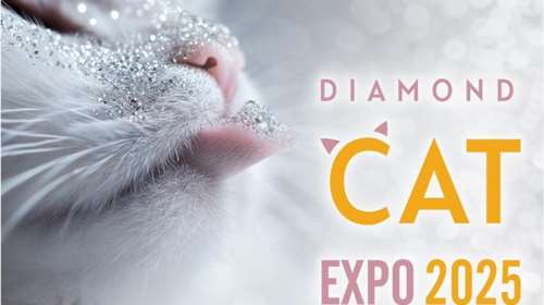 Το SCARS  στην έκθεση γάτας Diamond Cat Expo 2025 στις 26 και 27 Απριλίου - Μάθετε τα πάντα για τα ζωάκια με αναπηρία