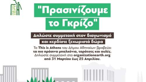 Ο δήμος Αθηναίων βραβεύει τα πιο πράσινα μπαλκόνια, ταράτσες και αυλές - &quot;Πρασινίζουμε το Γκρίζο&quot;