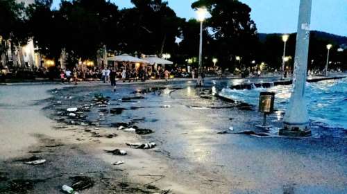 Βόλος: Δεκάδες νεκρά ψάρια ξεβράστηκαν στην παραλία [εικόνες]