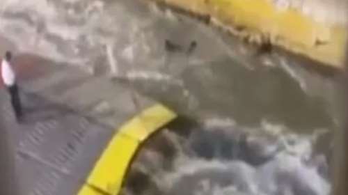 Θλίψη στον Αγ. Νικόλαο για τον θάνατο του 36χρονου: &quot;Ποτέ δεν είχε προκαλέσει πρόβλημα&quot;, λέει ο δήμαρχος