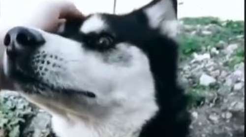 Αράχωβα: Νέα μάρτυρας κλήθηκε να καταθέσει - "Δεν έχει τελειώσει τίποτα για τον Όλιβερ"