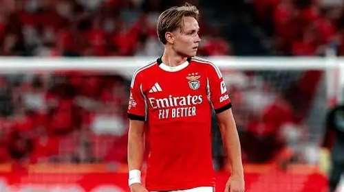 Φυλάκιση 14 ημερών στον Σιέλντερουπ της Μπενφίκα για διαμοιρασμό ερωτικού βίντεο με ανήλικους