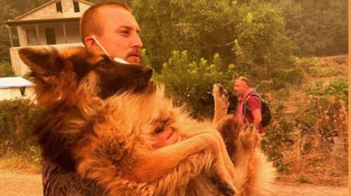 Φωτιές στην Εύβοια: Συγκλονίζει ο εθελοντής που έσωσε σκύλο - Ο ιδιοκτήτης του τον είχε αφήσει δεμένο να καεί