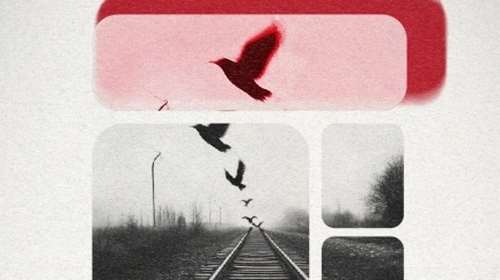 Τέμπη: Μεγάλη συναυλία μνήμης στο Καλλιμάρμαρο - Ποιοι θα τραγουδήσουν [εικόνα]