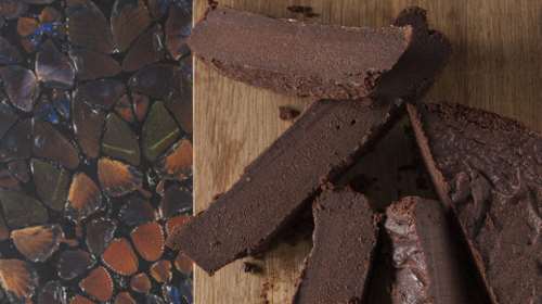 Στέλιος Παρλιάρος: Σούπερ σοκολατόπιτα με μόνο τέσσερα υλικά