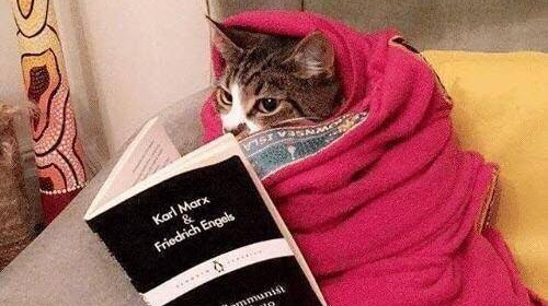 Άνοιγμα σχολείων - &quot;Κλαίει&quot; το twitter: Κουβέρτα να πάρεις