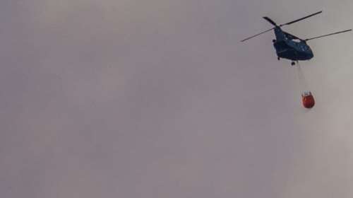 Φωτιά στη Δαδιά: Σκληρή μάχη με τις φλόγες στο νοτιοδυτικό πύρινο μέτωπο - O άνεμος "άνοιξε" την πυρκαγιά