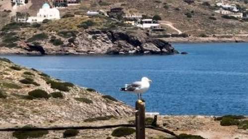 Βρυσάκι: Το εκπληκτικής ομορφιάς άγνωστο νότιο άκρο της Αττικής - Ο φάρος με την απέραντη θέα στο Αιγαίο [βίντεο]