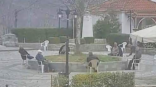 Καρδίτσα: Viral οι παπούδες που τηρούν το ....social distancing με ένα μοναδικό τρόπο