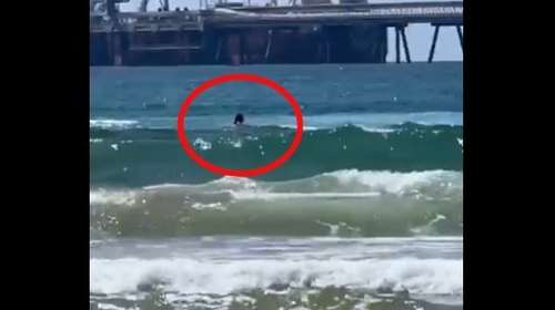Ισραήλ: Κολυμβητής αγνοείται μετά από επίθεση καρχαρία - Σοκαριστικό βίντεο από τη στιγμή που παλεύει στο νερό