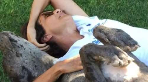 Άλκηστις Πρωτοψάλτη: Η συγκινητική ανάρτηση για το σκυλάκι της που πέθανε - &#39;&#39;Τώρα καλπάζει σε άλλους ουρανούς…&#39;&#39;