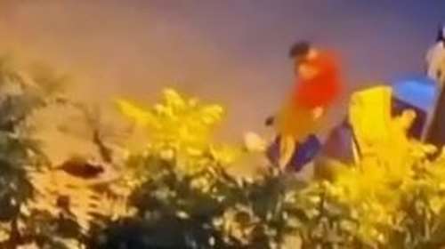Nέα κτηνωδία στη Θεσσαλονίκη: Νεαρός κλωτσάει γατάκι και το πατάει με το αυτοκίνητο
