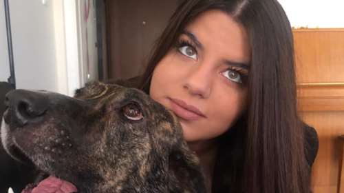 &quot;Φιλόξενος&quot; ξενοδόχος άφησε 3 ανθρώπους να κοιμηθούν στο αυτοκίνητο στους -10 βαθμούς, επειδή είχαν μαζί... σκύλο