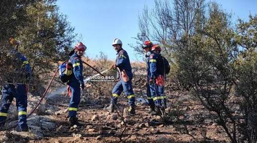 Φωτιά στις Μυκήνες - Μεγάλη κινητοποίηση της Πυροσβεστικής [εικόνες-βίντεο]