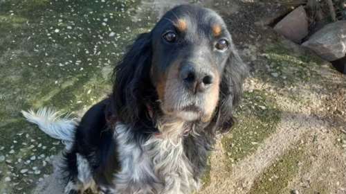 Η Σταματίνα Σταματάκου μάς γνωρίζει τον Chris: &quot;Τα παίρνουν για να τα δοκιμάσουν, λες κι είναι αμάξια&quot;