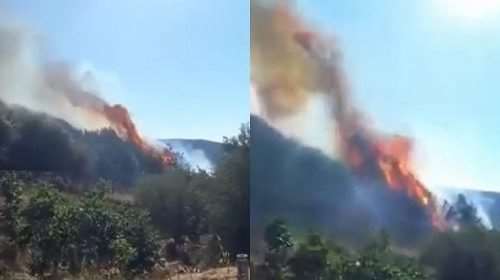 Φωτιά στη Θεσπρωτία: Συναγερμός στην Πυροσβεστική